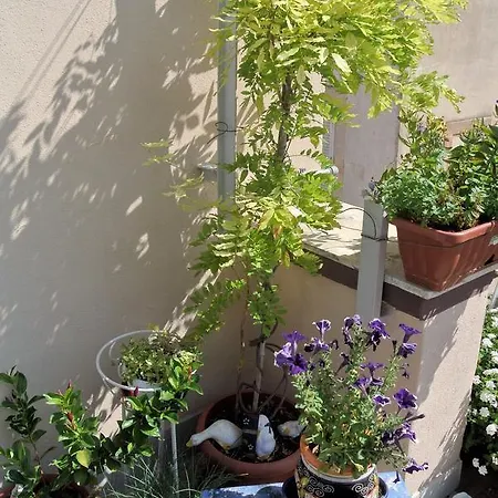 Almasol לינה וארוחת בוקר קאסאנו דלה מורג'ה