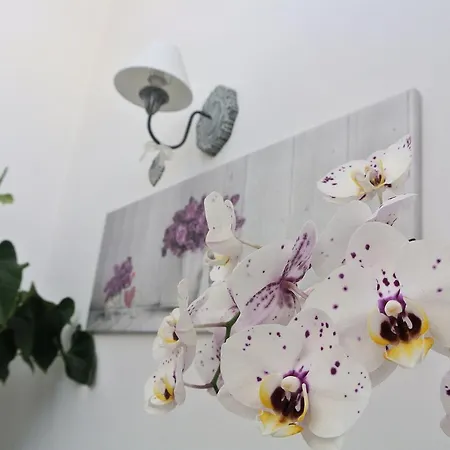 Almasol 3* Cassano delle Murge